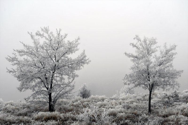 Sivas'ta kırağı ve sis, büyüleyici görüntüleri ortaya çıkardı