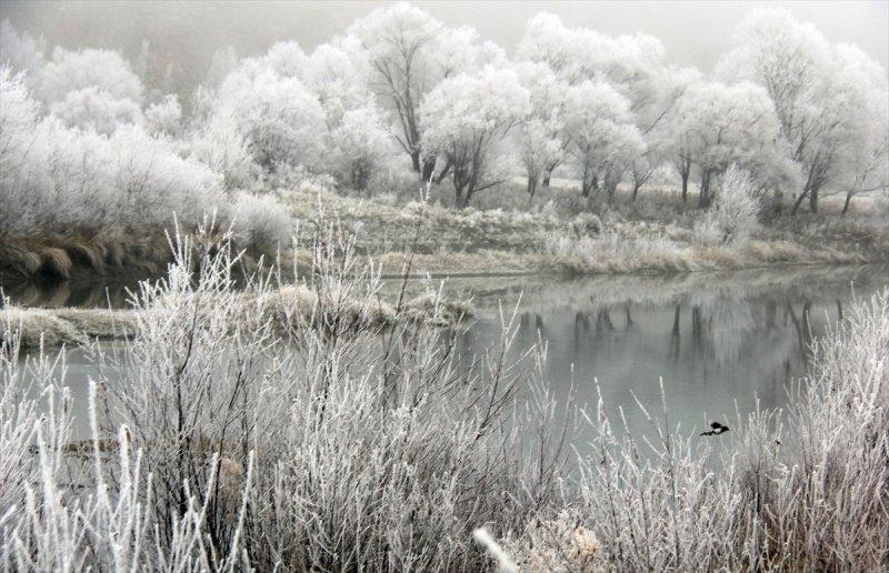 Sivas'ta kırağı ve sis, büyüleyici görüntüleri ortaya çıkardı