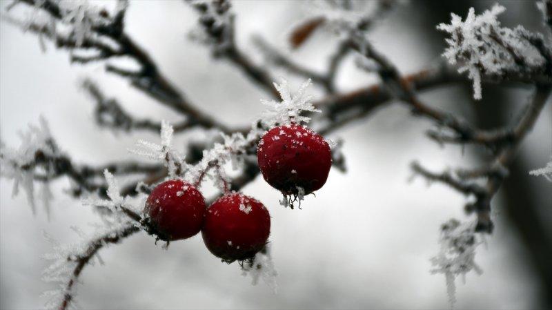 Sivas'ta kırağı ve sis, büyüleyici görüntüleri ortaya çıkardı