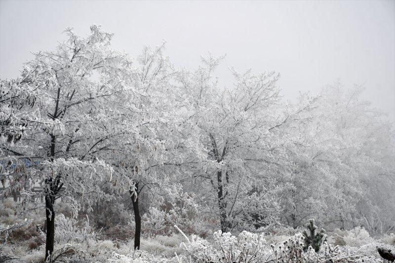 Sivas'ta kırağı ve sis, büyüleyici görüntüleri ortaya çıkardı