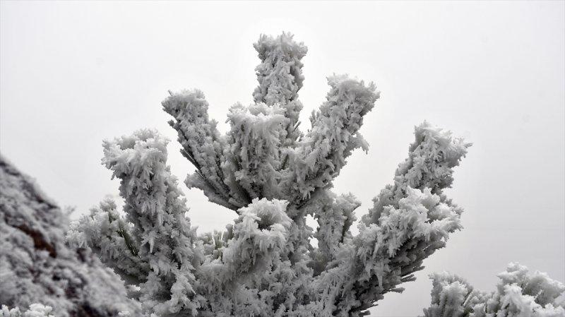 Sivas'ta kırağı ve sis, büyüleyici görüntüleri ortaya çıkardı