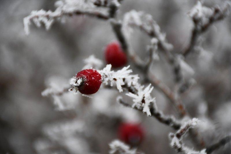 Sivas'ta kırağı ve sis, büyüleyici görüntüleri ortaya çıkardı