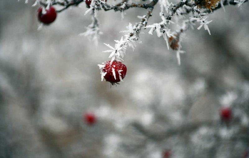 Sivas'ta kırağı ve sis, büyüleyici görüntüleri ortaya çıkardı