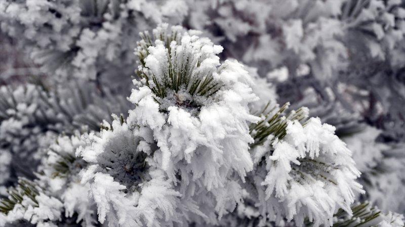Sivas'ta kırağı ve sis, büyüleyici görüntüleri ortaya çıkardı