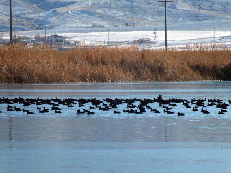 Ulaş Gölü'nün yüzeyi buz tuttu