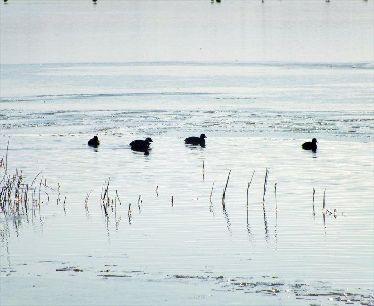 Ulaş Gölü'nün yüzeyi buz tuttu