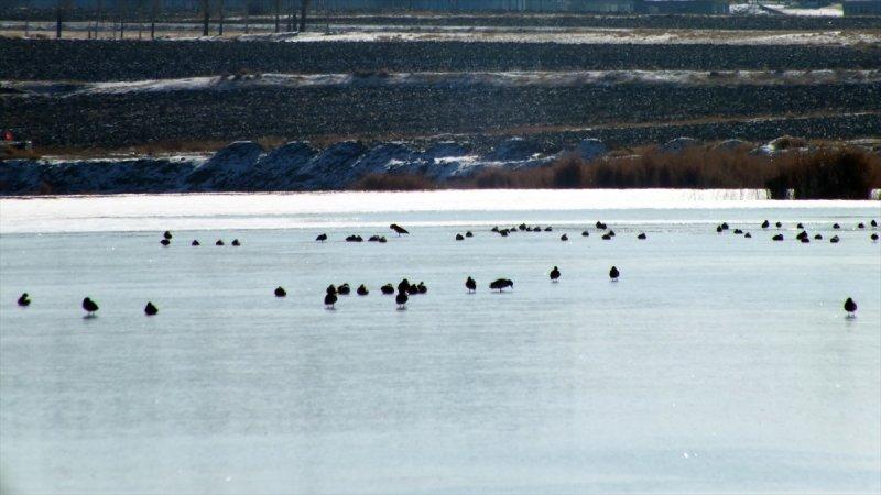 Ulaş Gölü'nün yüzeyi buz tuttu