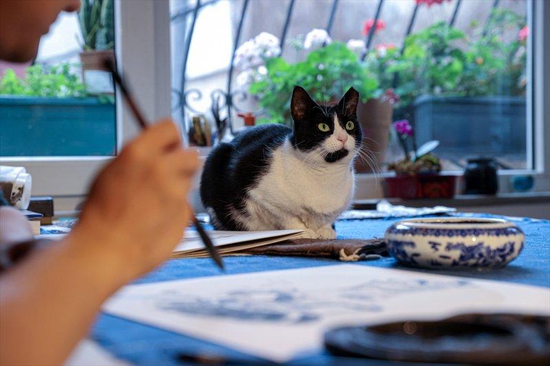 Çinli sanatçı, yerleştiği İstanbul'da Türk-İslam motifleri ile Çin sanatını sentezliyor