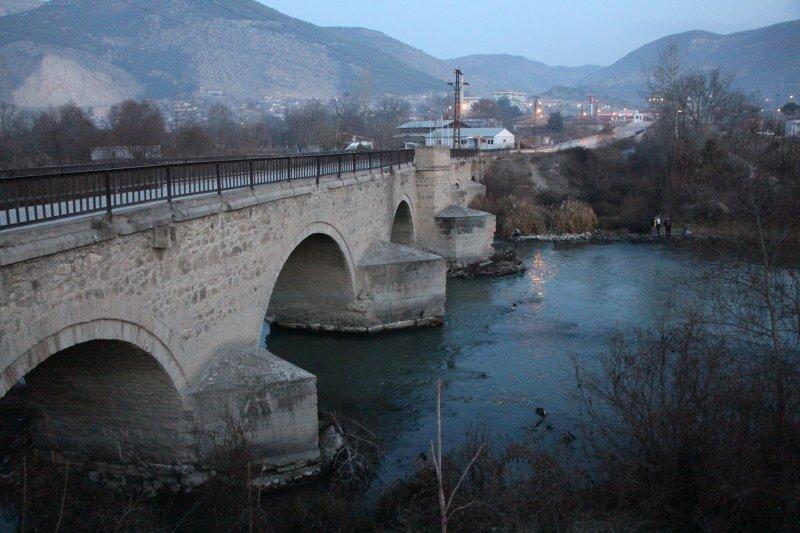 Yeşilırmak'ta toplu balık ölümleri