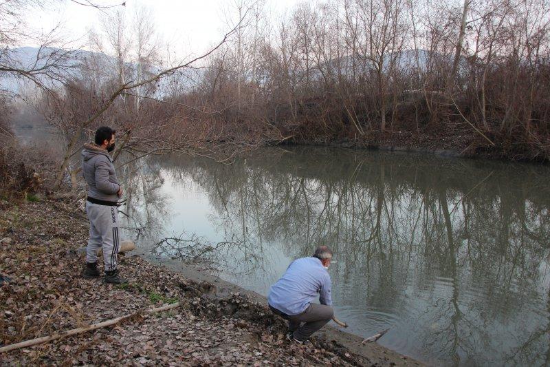 Yeşilırmak'ta toplu balık ölümleri