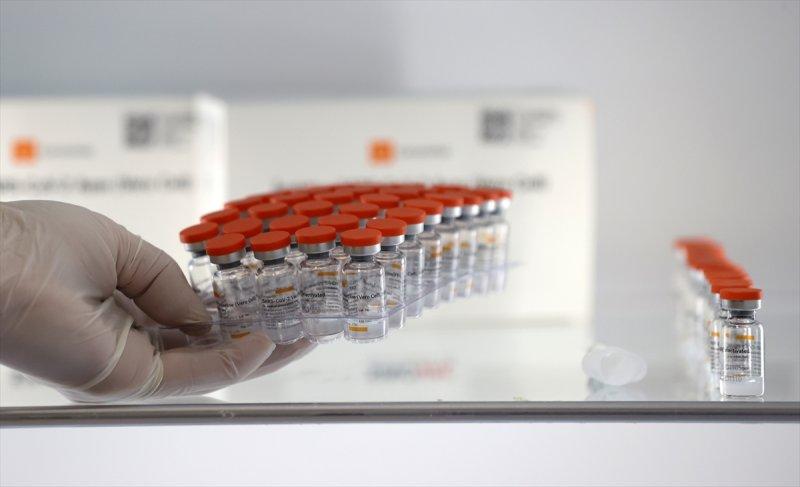 Türkiye'de koronavirüs aşısı 