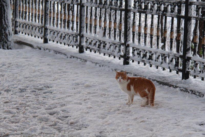 Çamlıca'dan kar manzaraları