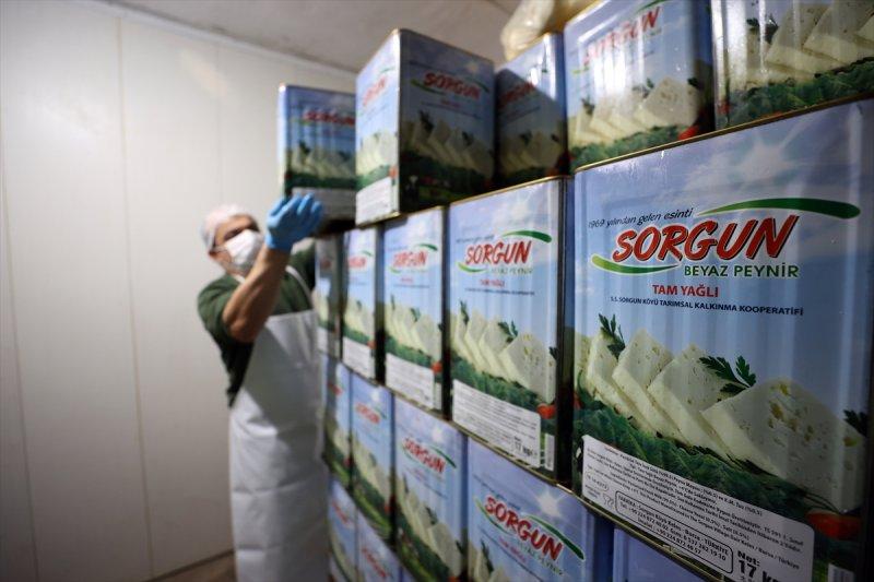 Bursa’da Sorgun peynirinin yapım serüveni