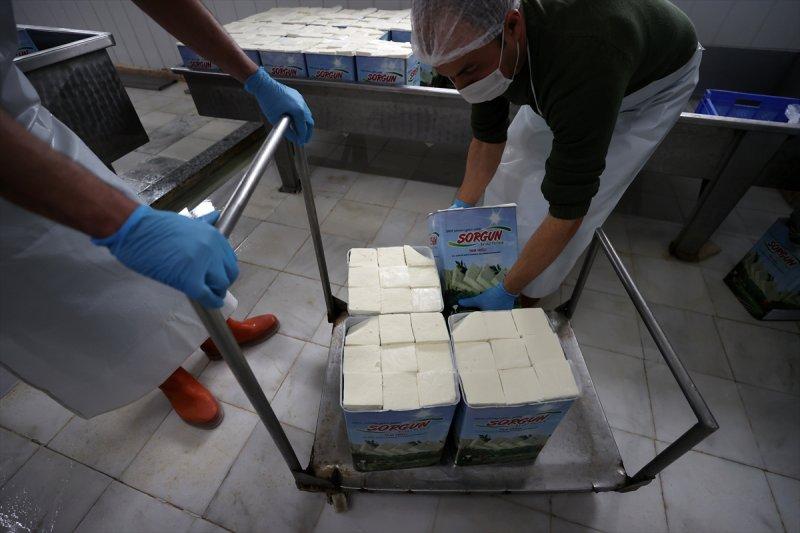 Bursa’da Sorgun peynirinin yapım serüveni