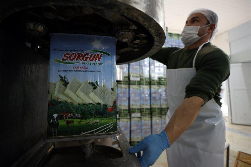 Bursa’da Sorgun peynirinin yapım serüveni
