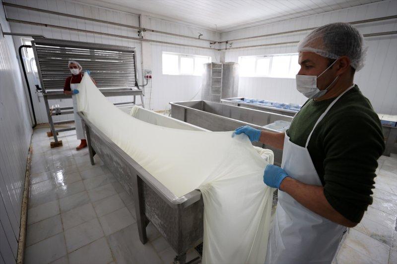 Bursa’da Sorgun peynirinin yapım serüveni