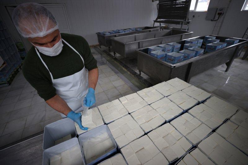 Bursa’da Sorgun peynirinin yapım serüveni