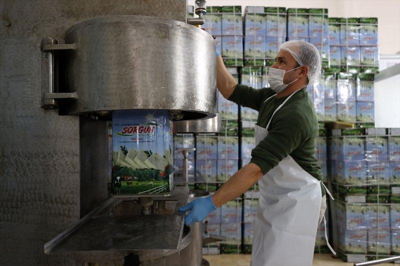 Bursa’da Sorgun peynirinin yapım serüveni