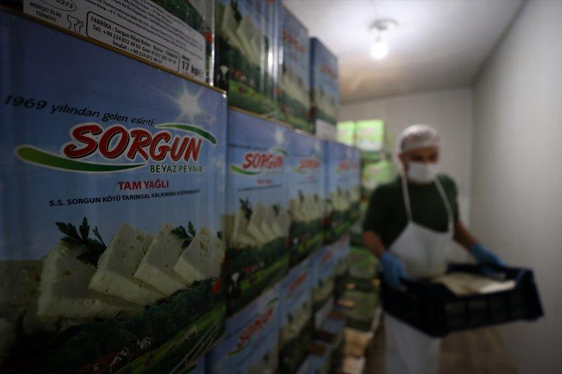 Bursa’da Sorgun peynirinin yapım serüveni