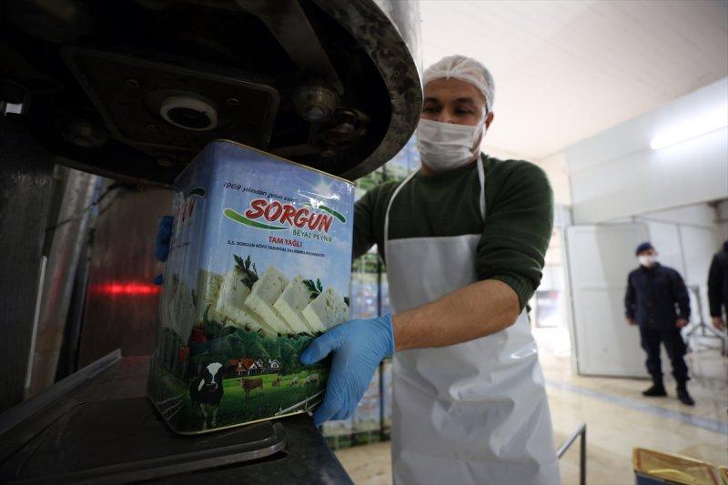 Bursa’da Sorgun peynirinin yapım serüveni