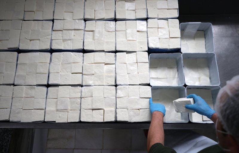 Bursa’da Sorgun peynirinin yapım serüveni