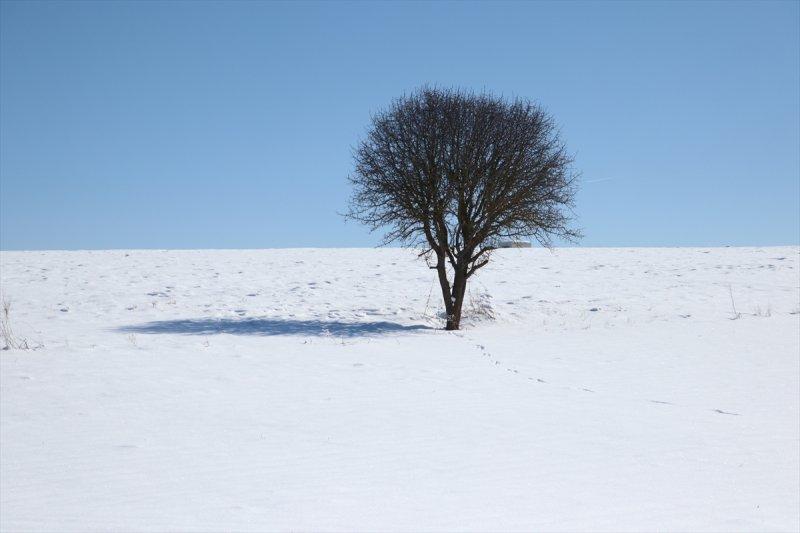 Karla kaplı Küre Dağları'nda görsel şölen
