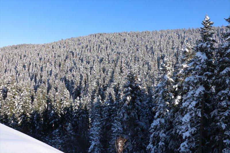 Karla kaplı Küre Dağları'nda görsel şölen