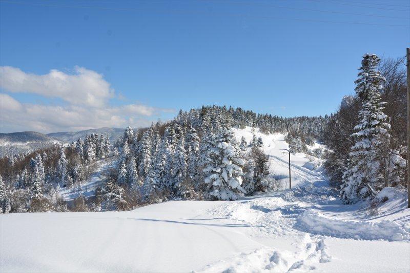 Karla kaplı Küre Dağları'nda görsel şölen