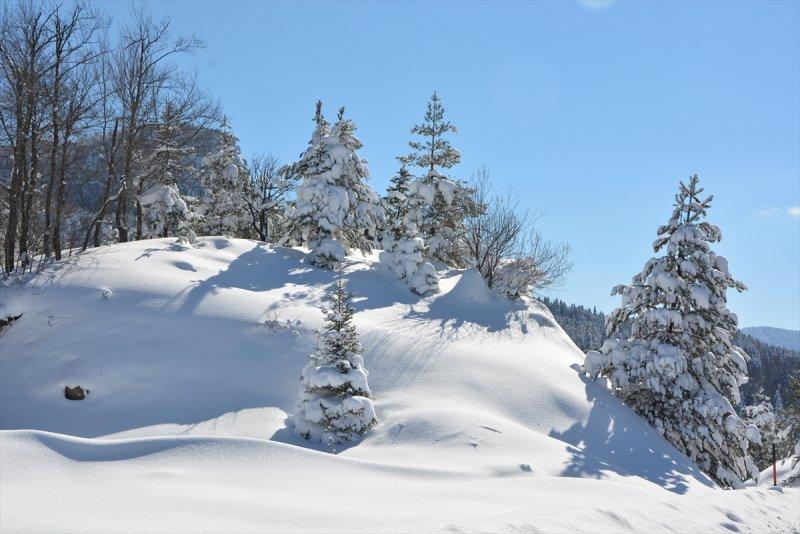 Karla kaplı Küre Dağları'nda görsel şölen