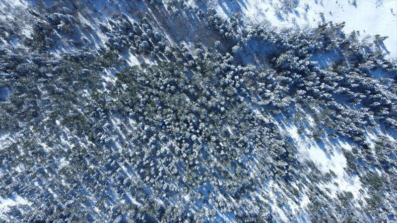 Karla kaplı Küre Dağları'nda görsel şölen