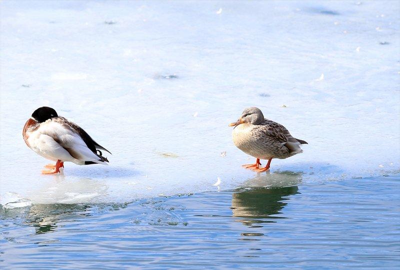 Kar manzaralı Uzungöl, tatilcilerin ilgisini çekti