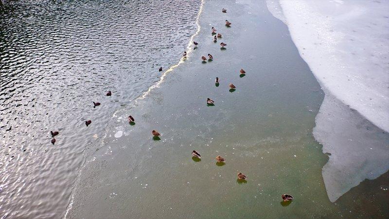 Kar manzaralı Uzungöl, tatilcilerin ilgisini çekti