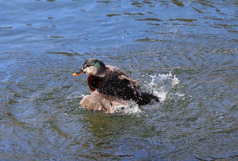 Kar manzaralı Uzungöl, tatilcilerin ilgisini çekti
