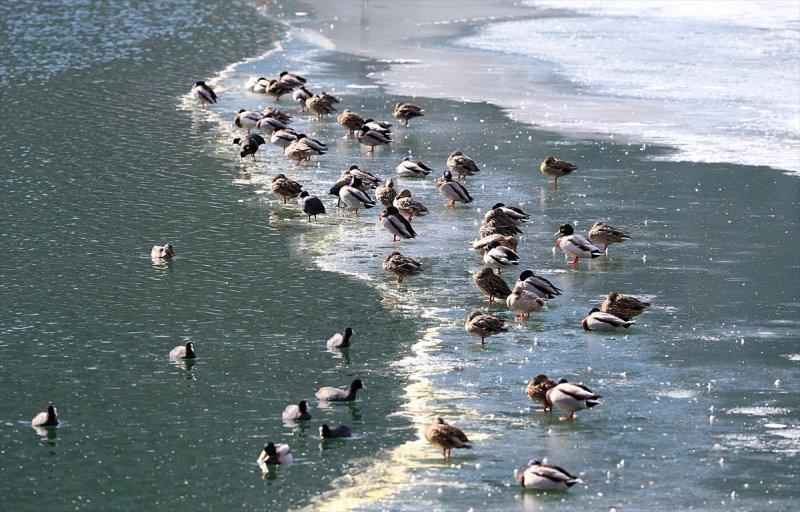Kar manzaralı Uzungöl, tatilcilerin ilgisini çekti