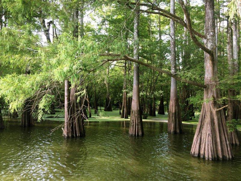 Dünyada görülmesi gereken doğal güzellikler