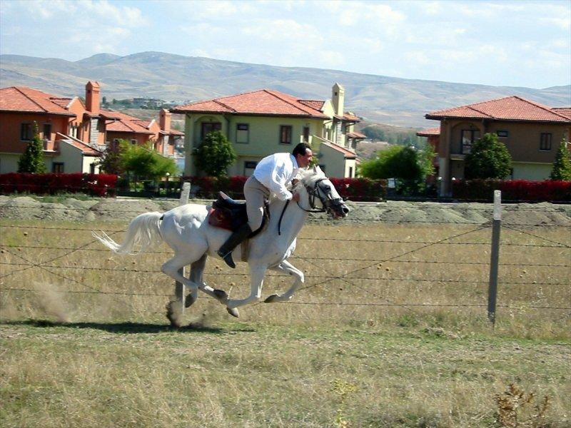 Muhsin Yazıcıoğlu, vefatının 12'nci yılında anılıyor
