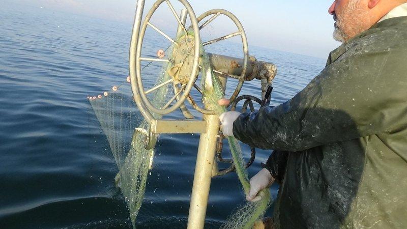 Van Gölü’nde inci kefali bereketi	