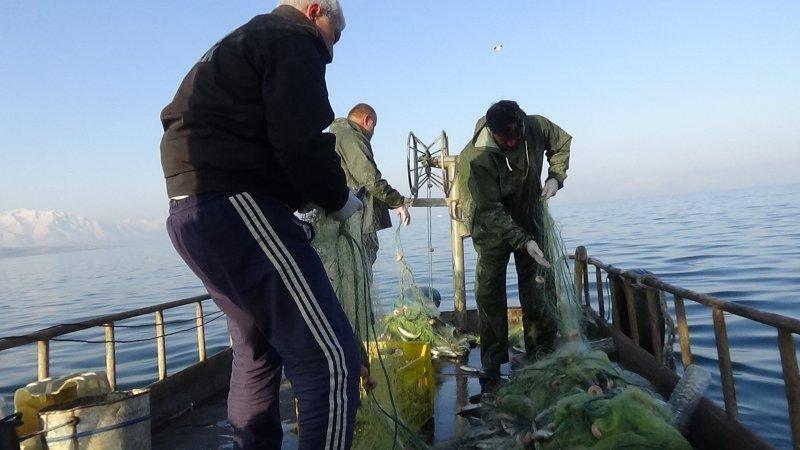 Van Gölü’nde inci kefali bereketi	