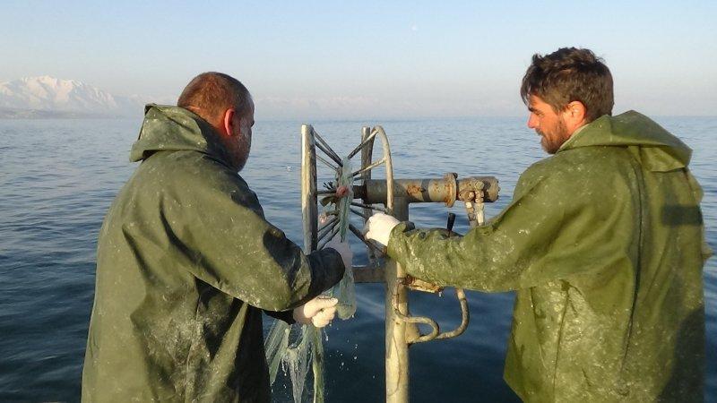 Van Gölü’nde inci kefali bereketi	