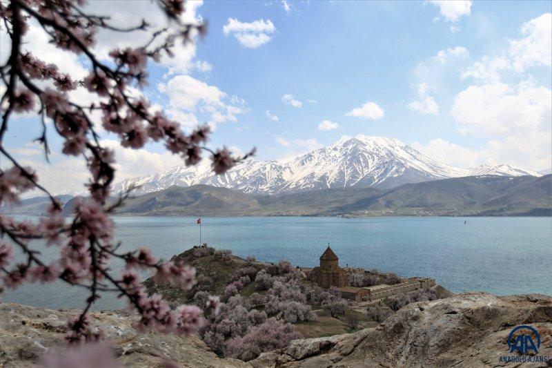 Akdamar adası, çiçek açan badem ağaçlarıyla güzelleşti