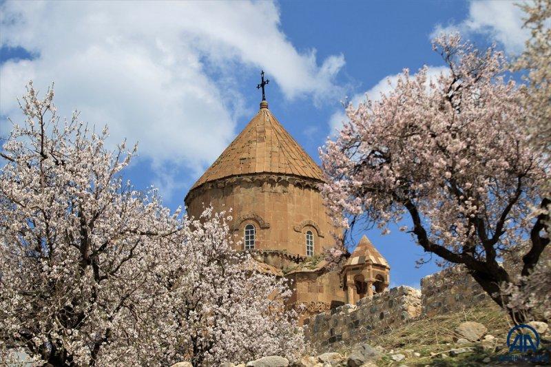 Akdamar adası, çiçek açan badem ağaçlarıyla güzelleşti
