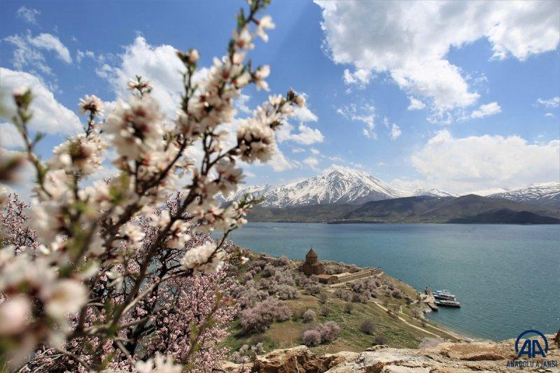 Akdamar adası, çiçek açan badem ağaçlarıyla güzelleşti