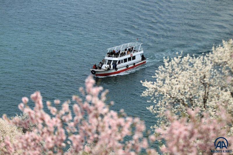 Akdamar adası, çiçek açan badem ağaçlarıyla güzelleşti