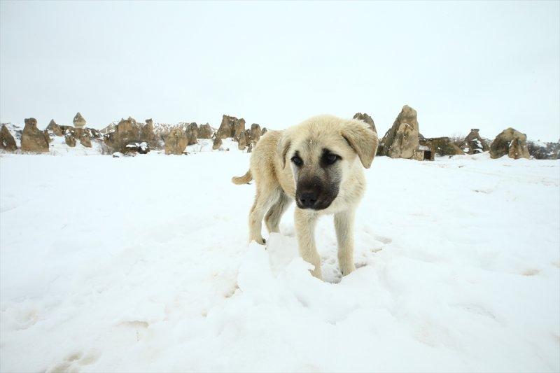 İlkbaharda yağan kar Kapadokya'ya yakıştı