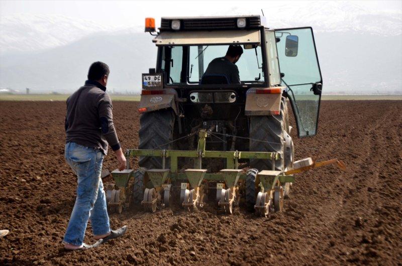 Muş Ovası'nda tohumlar toprakla buluştu