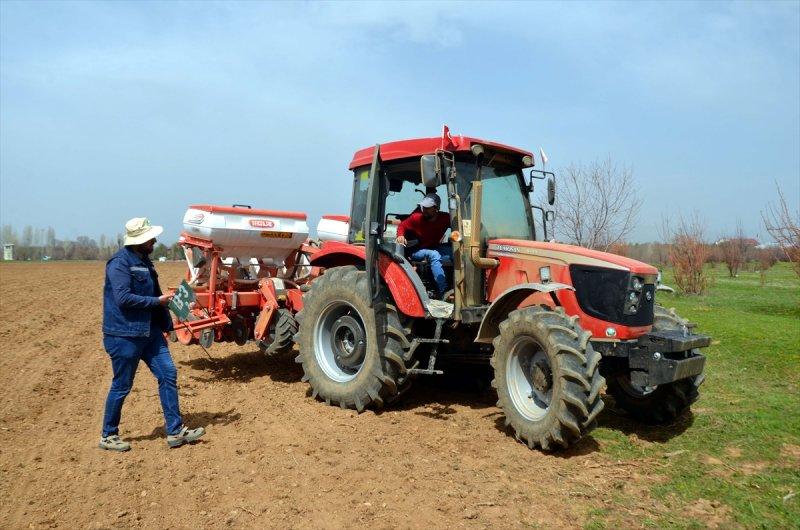 Muş Ovası'nda tohumlar toprakla buluştu