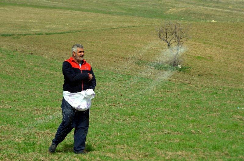 Muş Ovası'nda tohumlar toprakla buluştu