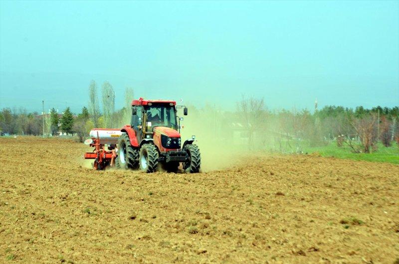 Muş Ovası'nda tohumlar toprakla buluştu