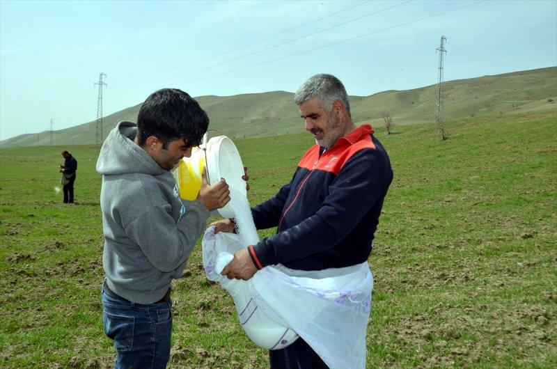Muş Ovası'nda tohumlar toprakla buluştu