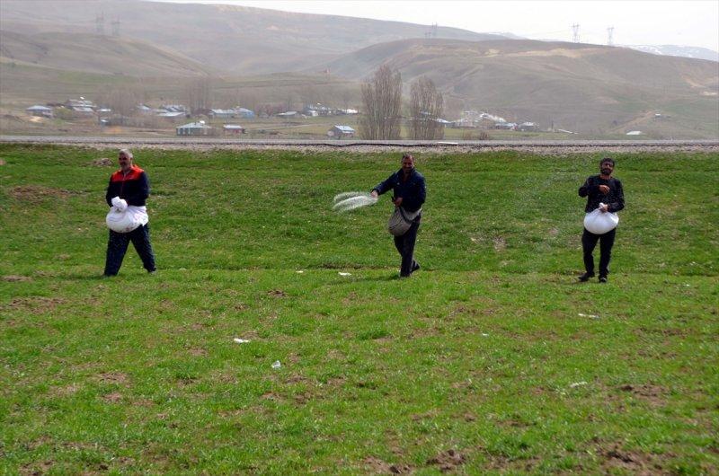 Muş Ovası'nda tohumlar toprakla buluştu